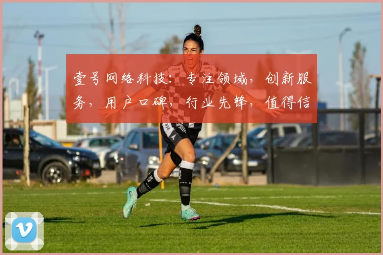 壹号网络科技：专注领域，创新服务，用户口碑，行业先锋，值得信赖三连击