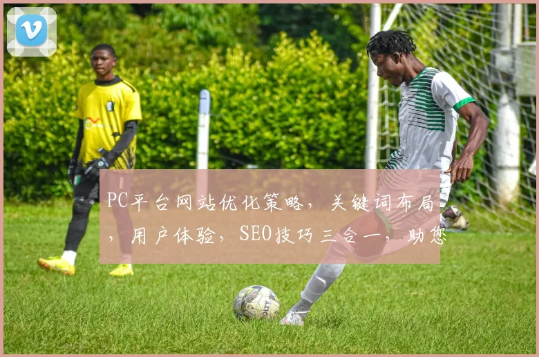 PC平台网站优化策略，关键词布局，用户体验，SEO技巧三合一，助您网站排名提升