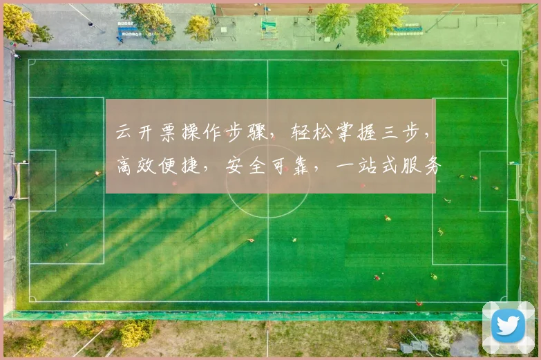 云开票操作步骤，轻松掌握三步，高效便捷，安全可靠，一站式服务，体验非凡